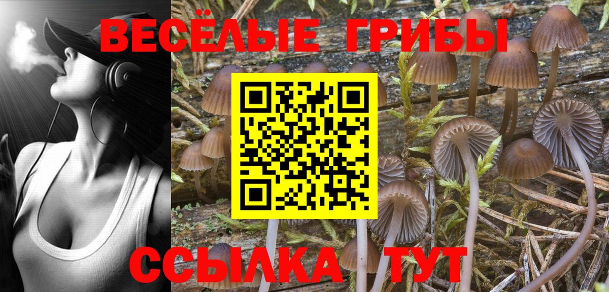 Печора  Галлюциногенные грибы Psilocybine cubensis  Вход с VPN 