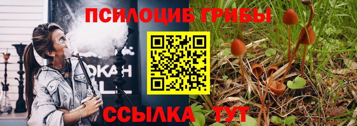 Псилоцибиновые грибы Magic Shrooms Печора